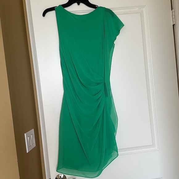 Express Green Dress. Hits just above the knees. Side zip, flattering fit. - Picture 3 of 5